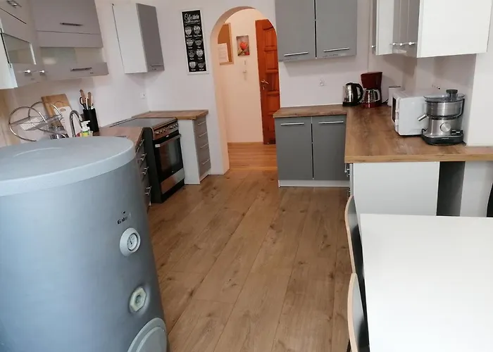 Lejlighed Tulip - Jednoosobowy Nr 3 Ze Wspolna Lazienka I Kuchnia Stettin